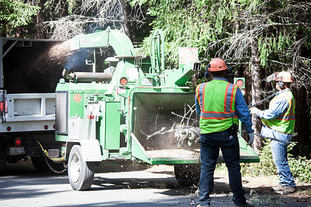 Lawn Watering Services in Brice Prairie, WI